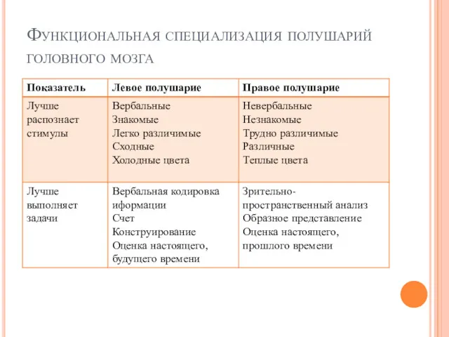 Функциональная специализация полушарий головного мозга