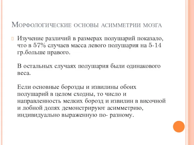 Морфологические основы асимметрии мозга Изучение различий в размерах полушарий показало,