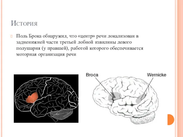 История Поль Брока обнаружил, что «центр» речи локализован в задненижней