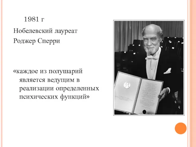 1981 г Нобелевский лауреат Роджер Сперри «каждое из полушарий является ведущим в реализации определенных психических функций»