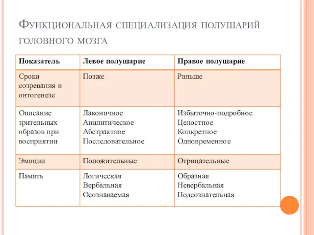 Функциональная специализация полушарий головного мозга