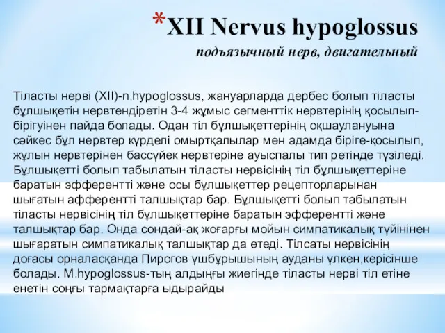 XII Nervus hypoglossus подъязычный нерв, двигательный Тіласты нерві (XII)-n.hypoglossus, жануарларда