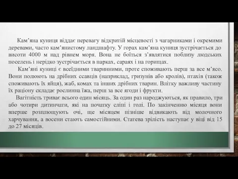 Кам’яна куниця віддає перевагу відкритій місцевості з чагарниками і окремими