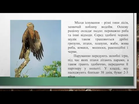 Місця існування – різні типи лісів, зазвичай поблизу водойм. Основу