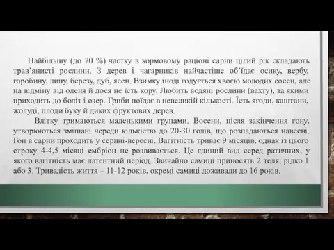 Найбільшу (до 70 %) частку в кормовому раціоні сарни цілий