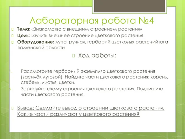 Лабораторная работа №4 Тема: «Знакомство с внешним строением растения» Цель: