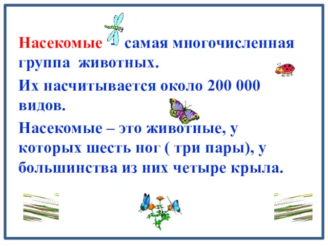 Насекомые - самая многочисленная группа животных. Их насчитывается около 200