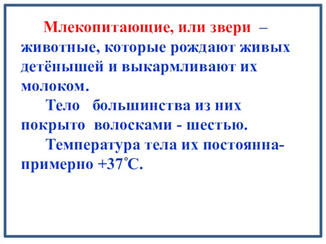 Млекопитающие, или звери – животные, которые рождают живых детёнышей и