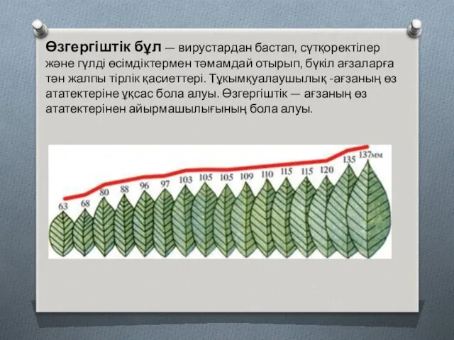 Өзгергіштік бұл — вирустардан бастап, сүтқоректілер және гүлді өсімдіктермен тәмамдай