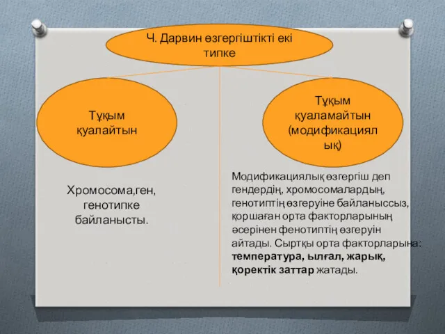 Ч. Дарвин өзгергіштікті екі типке Тұқым қуалайтын Тұқым қуаламайтын(модификациялық) Модификациялық