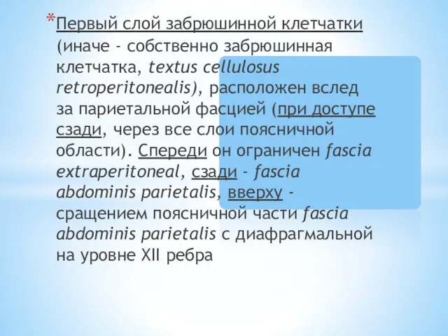 Первый слой забрюшинной клетчатки (иначе - собственно забрюшинная клетчатка, textus