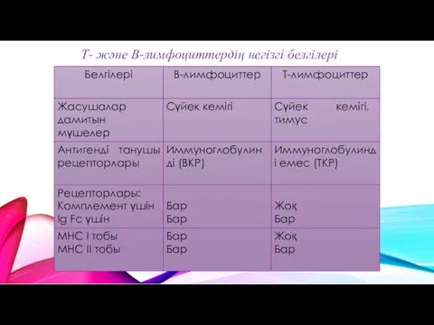 Т- және В-лимфоциттердің негізгі белгілері