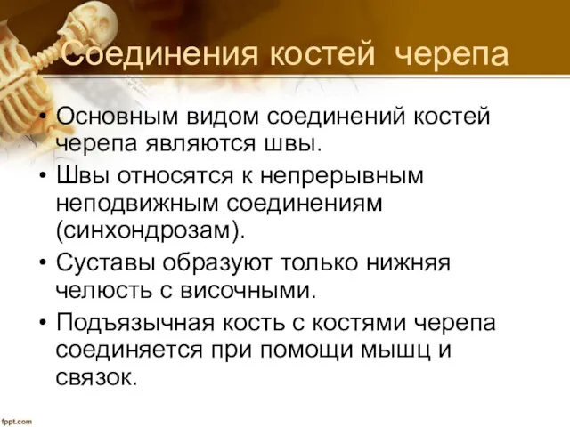 Соединения костей черепа Основным видом соединений костей черепа являются швы.