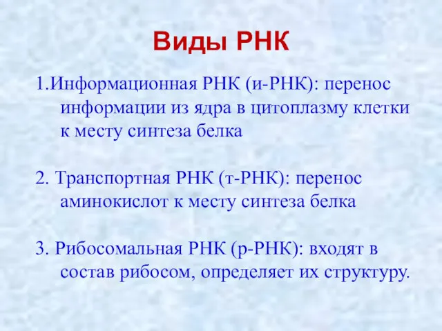 Виды РНК 1.Информационная РНК (и-РНК): перенос информации из ядра в