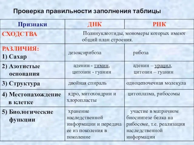 Проверка правильности заполнения таблицы