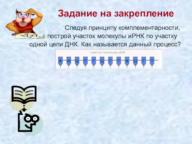 Задание на закрепление Следуя принципу комплементарности, построй участок молекулы иРНК