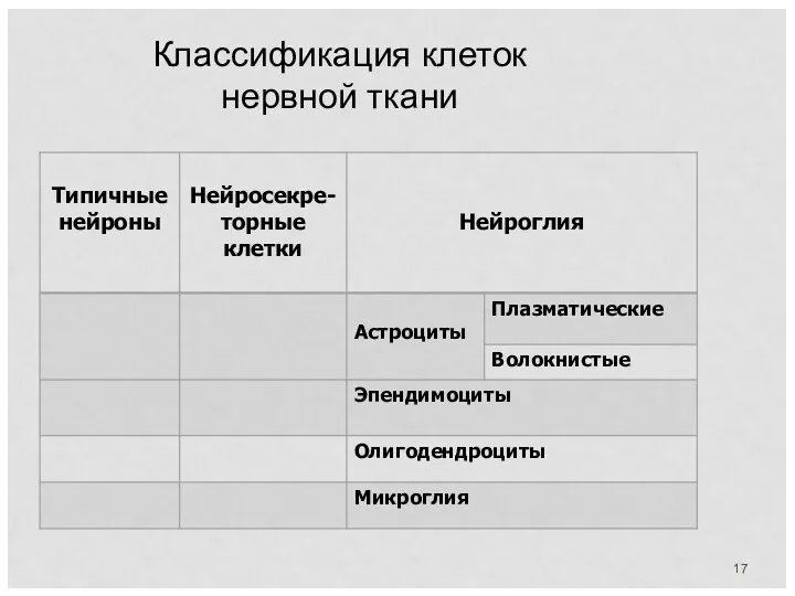 Классификация клеток нервной ткани