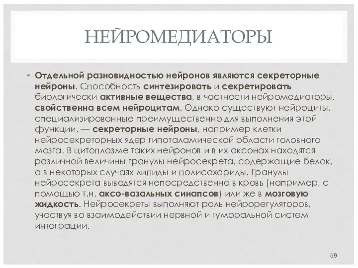 НЕЙРОМЕДИАТОРЫ Отдельной разновидностью нейронов являются секреторные нейроны. Способность синтезировать и