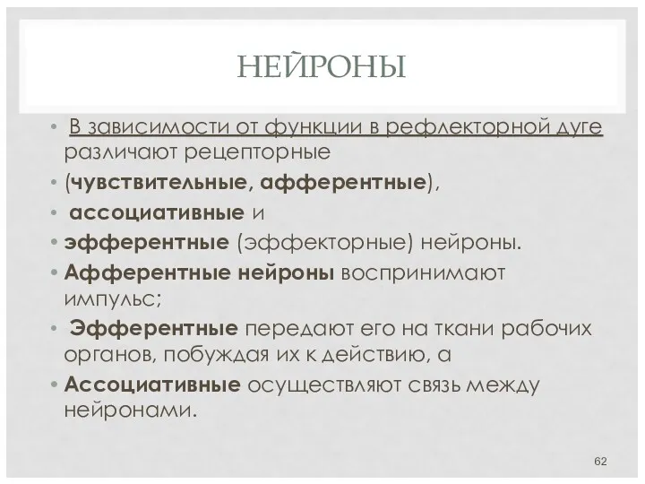 НЕЙРОНЫ В зависимости от функции в рефлекторной дуге различают рецепторные