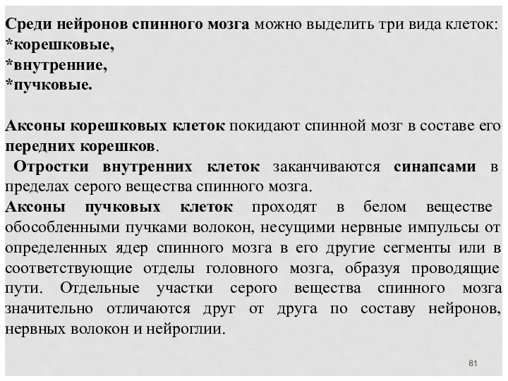 Среди нейронов спинного мозга можно выделить три вида клеток: *корешковые,