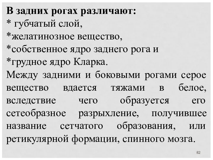 В задних рогах различают: * губчатый слой, *желатинозное вещество, *собственное