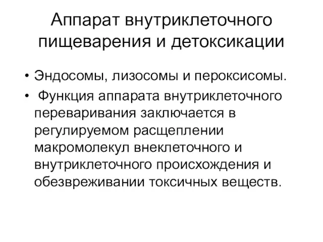 Аппарат внутриклеточного пищеварения и детоксикации Эндосомы, лизосомы и пероксисомы. Функция