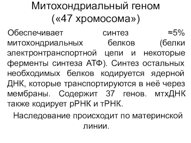 Митохондриальный геном («47 хромосома») Обеспечивает синтез ≈5% митохондриальных белков (белки