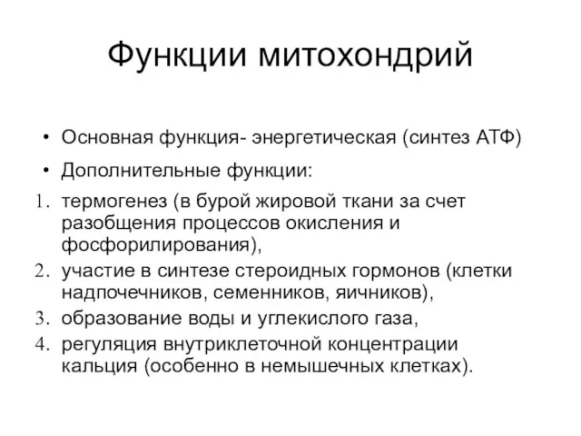 Функции митохондрий Основная функция- энергетическая (синтез АТФ) Дополнительные функции: термогенез