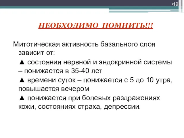 НЕОБХОДИМО ПОМНИТЬ!!! Митотическая активность базального слоя зависит от: ▲ состояния