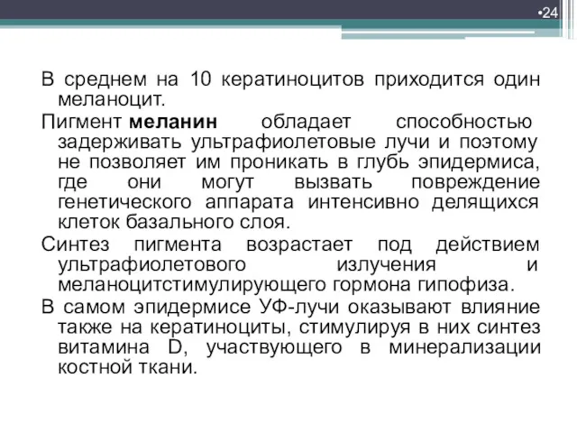 В среднем на 10 кератиноцитов приходится один меланоцит. Пигмент меланин