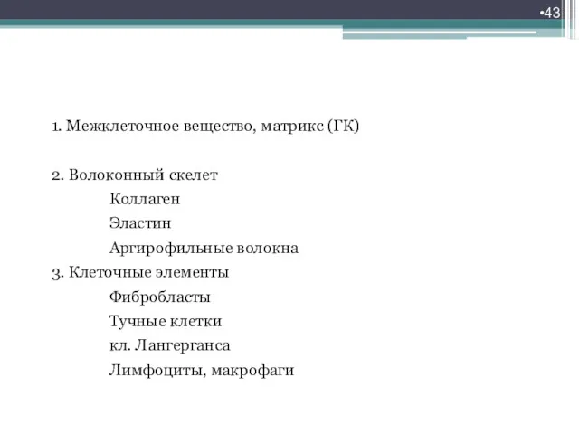 Дерма 1. Межклеточное вещество, матрикс (ГК) 2. Волоконный скелет Коллаген