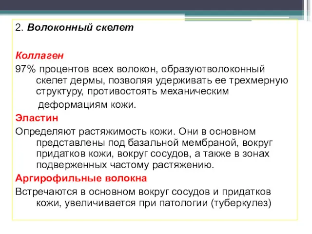 2. Волоконный скелет Коллаген 97% процентов всех волокон, образуютволоконный скелет