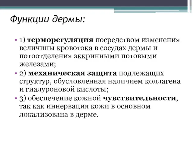 Функции дермы: 1) терморегуляция посредством изменения величины кровотока в сосудах