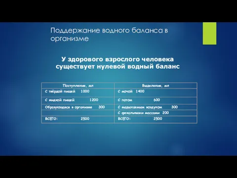 Поддержание водного баланса в организме У здорового взрослого человека существует нулевой водный баланс