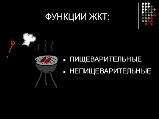 ФУНКЦИИ ЖКТ: ПИЩЕВАРИТЕЛЬНЫЕ НЕПИЩЕВАРИТЕЛЬНЫЕ