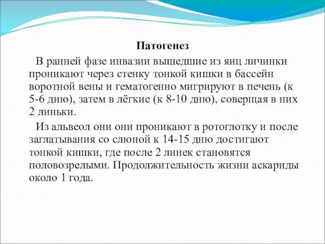 Патогенез В ранней фазе инвазии вышедшие из яиц личинки проникают