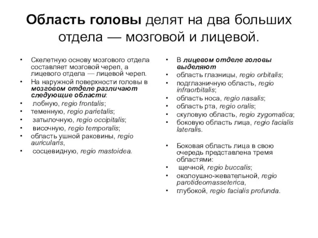 Область головы делят на два больших отдела — мозговой и