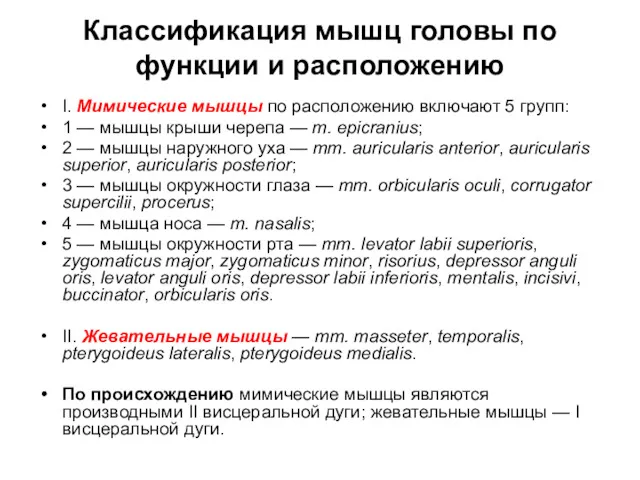 Классификация мышц головы по функции и расположению I. Мимические мышцы