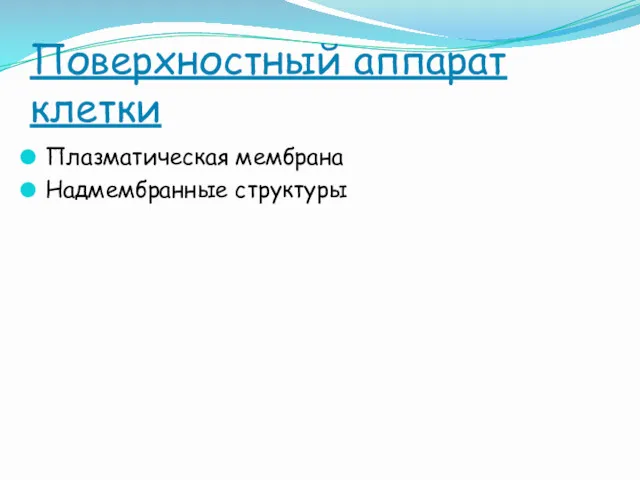 Поверхностный аппарат клетки Плазматическая мембрана Надмембранные структуры