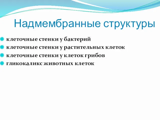 Надмембранные структуры клеточные стенки у бактерий клеточные стенки у растительных