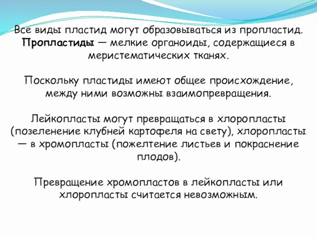 Все виды пластид могут образовываться из пропластид. Пропластиды — мелкие