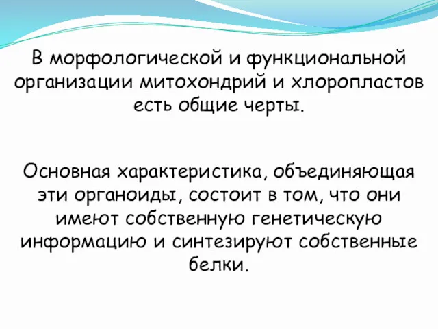 В морфологической и функциональной организации митохондрий и хлоропластов есть общие