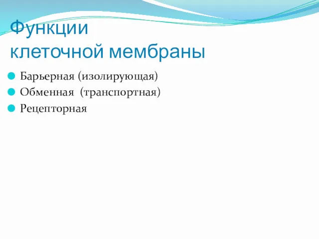 Функции клеточной мембраны Барьерная (изолирующая) Обменная (транспортная) Рецепторная