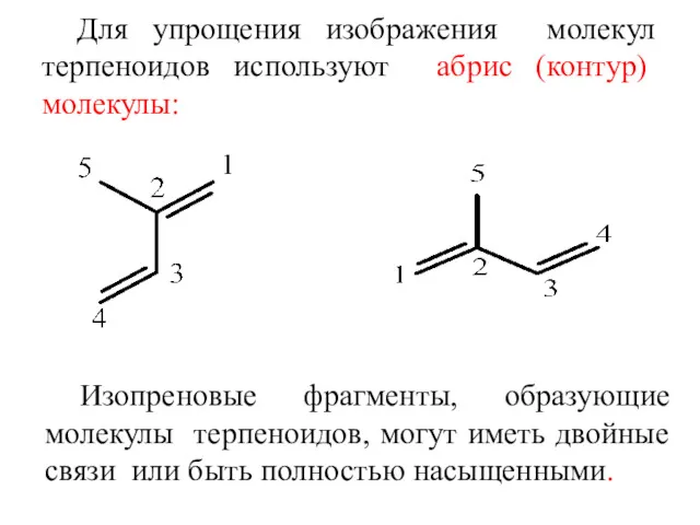 Для упрощения изображения молекул терпеноидов используют абрис (контур) молекулы: Изопреновые