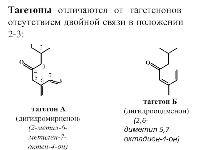 Тагетоны отличаются от тагетенонов отсутствием двойной связи в положении 2-3: