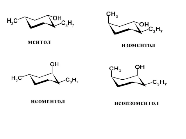 ментол изоментол неоментол неоизоментол