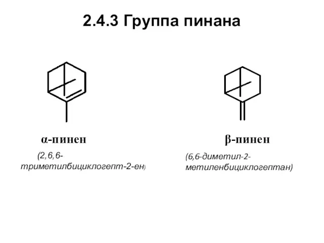 2.4.3 Группа пинана α-пинен (2,6,6-триметилбициклогепт-2-ен) β-пинен (6,6-диметил-2-метиленбициклогептан)