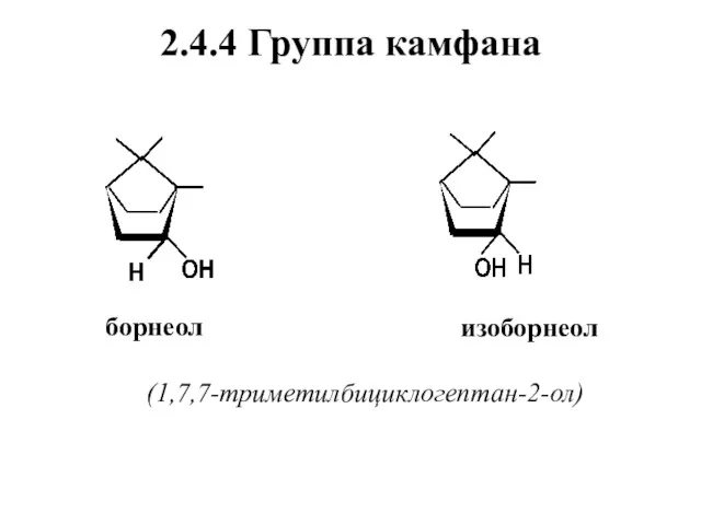 2.4.4 Группа камфана борнеол изоборнеол (1,7,7-триметилбициклогептан-2-ол)