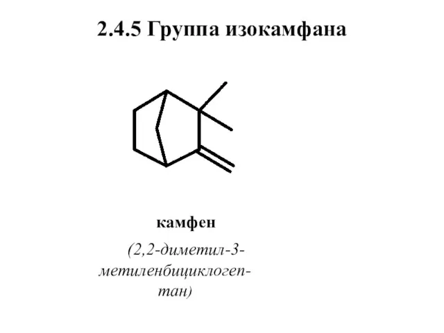 2.4.5 Группа изокамфана камфен (2,2-диметил-3-метиленбициклогеп-тан)