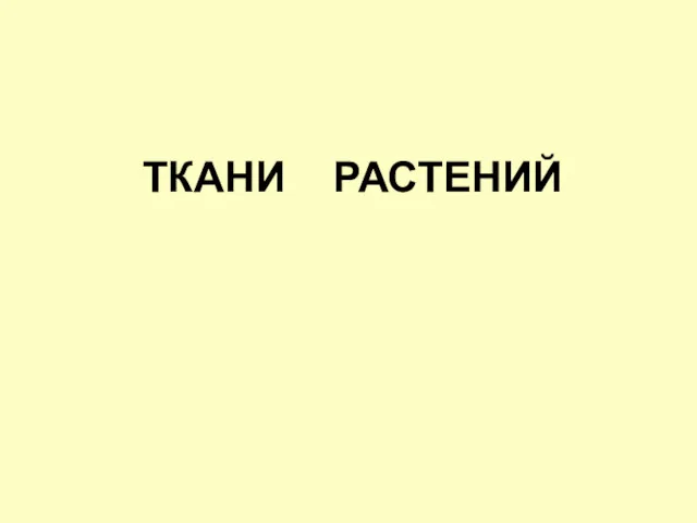 Ткани растений